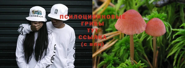 apvp Баксан