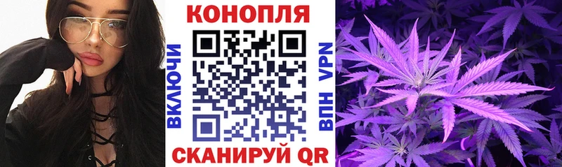 Бошки марихуана гибрид  маркетплейс какой сайт  Лаишево  купить наркотик 